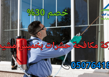 شركة مكافحة حشرات بخميس مشيط