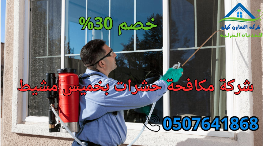 شركة مكافحة حشرات بخميس مشيط